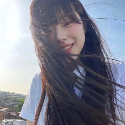 双生赤狐